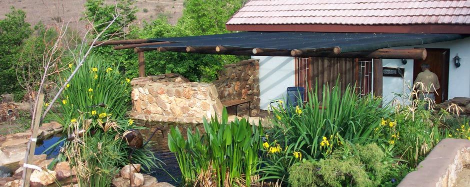 Hornbill cottage in the garden