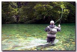 Fishing from the river bank