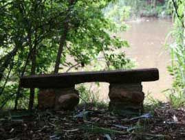 Bench overlooking the river
